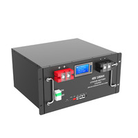 Batterie au lithium LiFePO4 Gel 51,2 V 100 Ah 200 Ah 300 Ah avec BMS, protection IP55, communication CAN, utilisation domestique, empilable