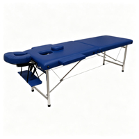 Table de massage portable de luxe à 2 sections avec pieds en acier inoxydable, pliable, avec appui-tête pour salon