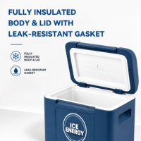 Glacière roulante 20QT avec poignée télescopique verrouillable, 4 roues, isotherme, pour camping, plage, pique-nique