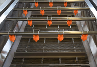 Automatische fruit- en groentenreinigingsmachine met nanobellen en motor - milieuvriendelijk merk SK