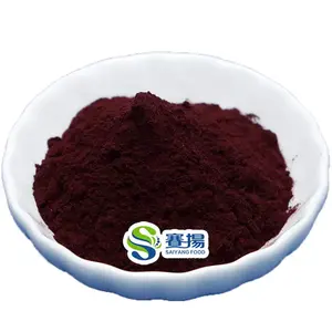 Elderberry Extract Powder Best Price High Purity Anthocyanin 5% 25% Black Elderberry Extract