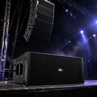 Système de sonorisation Line Array professionnel TISON-210A 10 pouces, 800W+100W, en contreplaqué 15mm, pour scène intérieure et extérieure