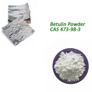 Extracto de Corteza de Abedul en Polvo con Betulina y Vitamina, Certificado ISO, <span class=keywords><strong>98%</strong></span> Puro, Envasado en Tambor, Probado por <span class=keywords><strong>HPLC</strong></span> - Product Image 4