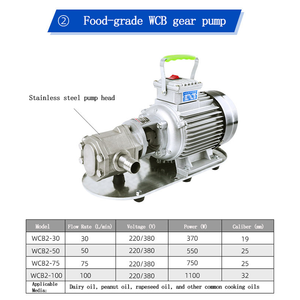 Pompe à engrenages industrielle durable QY pour pompes mécaniques de haute qualité de transmission d'huile - Product Image 2