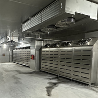 Machine de décongélation intelligente à faible consommation d'énergie, haute humidité et basse température, en acier inoxydable 304, pour la décongélation uniforme de la volaille et des fruits de mer