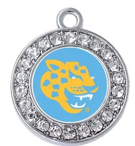 مجوهرات مخصصة للنادي الجنوبي للجامعة جاغوار HBCU سحر سوار أزرق فاتح رأس سو جاكوار