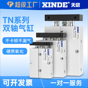 Cylindre pneumatique à double tige Apocalypse Twin Shaft TN20X50 S avec interrupteur magnétique pour l'automatisation industrielle - Product Image 2