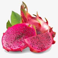 Fabrieksleverancier Pitaya Poeder Wateroplosbaar Rood Drakenfruit Poeder