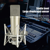 Kondensor Profesional 48V Kardioid XLR Tipe C Desktop Nirkabel Streaming Podcas Pengubah Suara Audio Mixer Peredam Kebisingan RGB