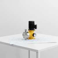 CE-Zertifizierte CNP GM Mechanische Membran-Dosierpumpe Hochpräzisionspumpe für Industrielle Abwasser-Chemikaliendosiersysteme