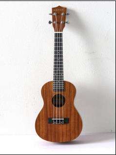 21 นิ้ว บูร์ลี่วูด