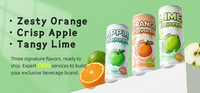 Fabricant de boissons sans sucre OEM, jus de citron vert, soda pétillant aux agrumes, boisson gazeuse enrichie en vitamine C, boissons certifiées Halal