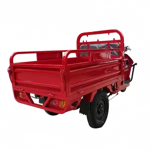 Hot Selling 60V 1000W China Electric Tricycle Open Electric 3 Wheel Electric Cargo Tricycle