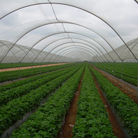 Fabricant de pépinière en Chine couvre-lit de jardin surélevé 40 pour cent filet d'ombrage noir pour l'agriculture