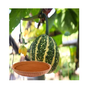 X-humate nông nghiệp nhà máy chất dinh dưỡng <span class=keywords><strong>Bio</strong></span> Fulvic axit 90% 70% 50% Phân bón hữu cơ - Product Image 1