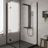 Panneau de douche mural en acier inoxydable noir avec étagères, nouveau modèle Vaguel Taizhou