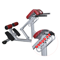 Chaise romaine d'extension de dos d'équipement commercial de gymnastique pour l'entraînement de force abdominale de banc d'hyperextension de musculation