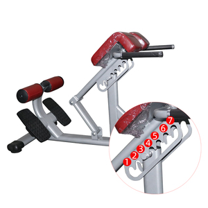 <span class=keywords><strong>Chaise</strong></span> romaine d'extension de dos d'équipement commercial de gymnastique pour l'entraînement de force <span class=keywords><strong>abdominale</strong></span> de banc d'hyperextension de <span class=keywords><strong>musculation</strong></span> - Product Image 3