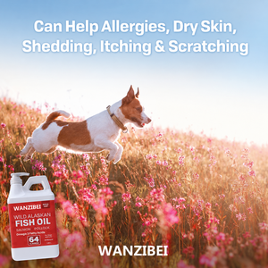 WANZIBEI Olio di Pesce per Cani, <span class=keywords><strong>Salmone</strong></span> Selvaggio dell'Alaska, Omega 3 EPA DHA, Integratore Liquido Senza Additivi, Completamente Naturale, Senza Cereali, Sostenibile - Product Image 3