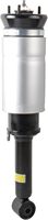 Amortisseur de suspension pneumatique avant OE RNB501580 pour Land Rover Discovery 3 LR3 Range Rover Sport L320 sans ADS