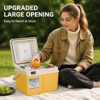 Glacière isotherme en plastique 5L pour camping, voiture, vin, aliments, boissons, congélateur, seau à glace anti-fuite pour la conservation de la fraîcheur