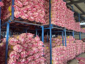 Chine <span class=keywords><strong>Acheter</strong></span> de l'ail <span class=keywords><strong>frais</strong></span> de haute qualité 10kg 20kg en gros - Product Image 6