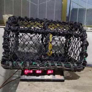 Forte Corda di Paraurti In Plastica-rivestito filo di acciaio Nero di Coccio <span class=keywords><strong>Noti</strong></span> Granchio Trappole Creels Pentola per Irlanda Mercato - Product Image 2
