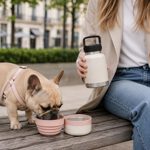 32oz 3 in 1 Leakproof Pet Travel <b>Water</b> <b>Bottle</b> <b>for</b> <b>Dogs</b> Detachable Bowls Keeps <b>Water</b> Cold Christmas Gift - Product Image 6