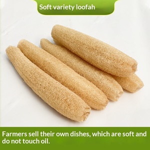 Esponja <span class=keywords><strong>de</strong></span> Lufa Natural Larga Ecológica para Lavar Platos, Antiadherente, Buena Absorción, Cepillo para Ollas, Baño y Cocina - Product Image 5