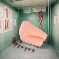 Simulateur d'examen rectal en PVC durable DARHMMY avec selles pour la formation médicale et la simulation (taille naturelle)