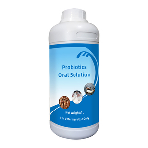 Polvo soluble multivitamínico huevo más refuerzo ganar más huevos mejorar la fertilidad alimento potenciador de la nutrición promover yema amarilla naranja - Product Image 3