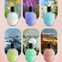 Diffuseur d'arômes automatique USB d'intérieur mignon, machine à parfum portable à suspendre au mur, humidificateur d'air longue durée, spray rafraîchissant