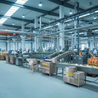 Productielijn voor kleine batches originele gesneden aardappelchips en -friet, semi-automatische commerciële verwerkingslijn