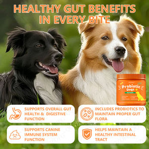 Probióticos para Perros, Enzimas Digestivas para la Flora Intestinal, Salud Digestiva, <span class=keywords><strong>Diarrea</strong></span> y Apoyo Intestinal, Probióticos para Mascotas, Venta Caliente OEM - Product Image 1
