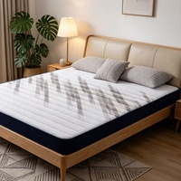 Matelas en mousse économique, haute densité, respirant, pliable, enroulable, durable, pour dortoir et maison