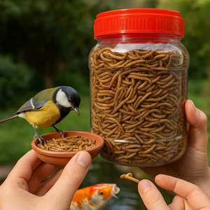 Vers de farine riches en protéines, nourriture pour animaux de compagnie pour chats et hamsters, santé des articulations, protéines naturelles, aliment de base - Product Image 2