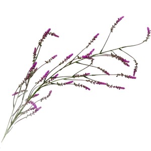 Herbe artificielle de jardin secret, herbe de renard à longue tige en plastique, décoration de mariage, décoration intérieure, lavande, violet, rouge, jaune, blanc - Product Image 5