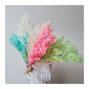 Fermoirs séchés en parapente couleur blanche, 1 pièce, vente en gros d'usine - Product Image 6