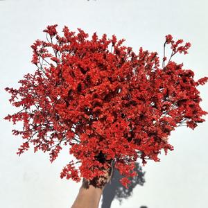 <span class=keywords><strong>Fleur</strong></span> éternelle Saint Valentin cadeau <span class=keywords><strong>de</strong></span> fête des mères <span class=keywords><strong>fleur</strong></span> éternelle pleine d'étoiles mariage décoration <span class=keywords><strong>de</strong></span> la maison fleurs séchées - Product Image 4