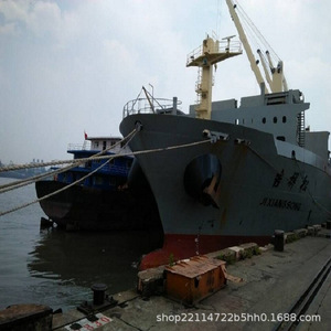 Transporte Marítimo Internacional de Mercancías a Granel desde Lianyungang a Chennai, India, Servicio de Importación y Exportación de Buques de Carga Pesada - Product Image 4