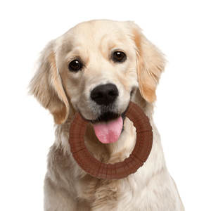 Giocattoli da Masticare per Animali Domestici in Nylon Resistente agli Esplosioni, Grado Alimentare, Aroma di Bacon, a Forma di Osso, per Cani e Gatti di Taglia Media/Grande, per Pulizia Denti - Product Image 6