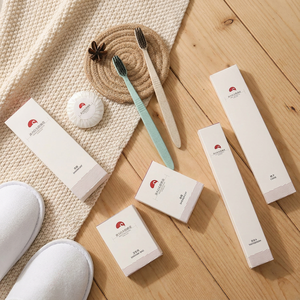 Kit d'articles de toilette écologiques pour hôtel, le plus populaire : mini-savon, kit de voyage jetable pour hôtel, kit de rasage - Product Image 1