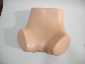 Modelo de Entrenamiento Ginecológico de PVC Avanzado <span class=keywords><strong>y</strong></span> Duradero para Educación Médica <span class=keywords><strong>y</strong></span> Enseñanza de <span class=keywords><strong>Obstetricia</strong></span> para Estudiantes de Medicina <span class=keywords><strong>y</strong></span> Profesores - Product Image 4