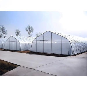 <span class=keywords><strong>Serre</strong></span> tunnel à simple portée bon marché de 8*30m en vente en Chine, utilisée pour l'agriculture, les tomates, les fraises - Product Image 5