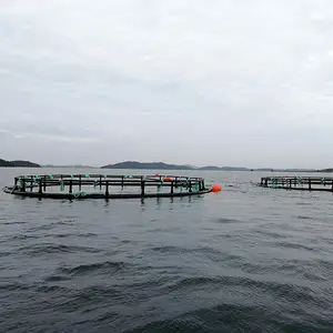 HDPE/PE fishing cage for fish fingerlings farming