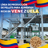 Ligne de production d'aliments pour animaux RICHI - Machine avec moteurs Siemens pour moulin à aliments, ligne de production d'aliments pour volailles, extrudeuse à matrice annulaire au Venezuela