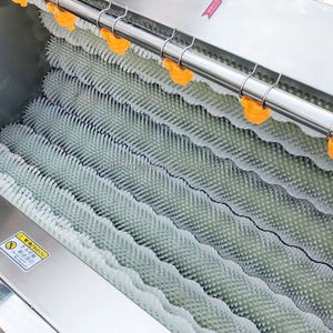 เครื่องล้างหัวไชเท้า เครื่องล้างและปอกเปลือกขิง เครื่องปอกเปลือกมันเทศ - Product Image 5