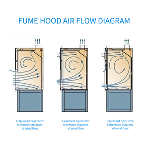 Campana de Extracción de Gases Ácidos Resistente a la Corrosión con Recubrimiento de Resina Epoxi, Precio de Fábrica F10, Moderna, para Taller, Escuela, <span class=keywords><strong>Laboratorio</strong></span> Farmacéutico - Product Image 5