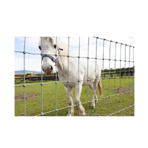 Độ bền kéo cao đồng cỏ đất nông nghiệp hàng rào/bảo vệ động vật dây lưới/gia súc cừu ngựa hươu trang trại lĩnh vực hàng rào giá