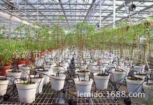 ระบบให้น้ำแบบหยดลูกธนูพลาสติกสำหรับฉีดน้ำในหม้อและฟาร์มอุปกรณ์รดน้ำแบบหมุนได้ - Product Image 2